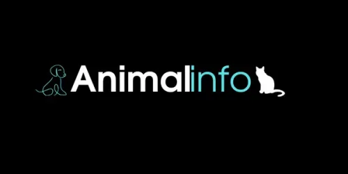 AnimalInfo Logo